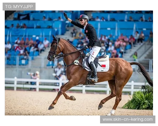 西班牙马术科研团队研发出新型马术训练设备,提升骑手技能。,马术西班牙古典舞步 西班牙马术科研团队研发出新型马术训练设备,提升骑手技能。,马术西班牙古典舞步